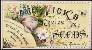 James Vick's choice seeds