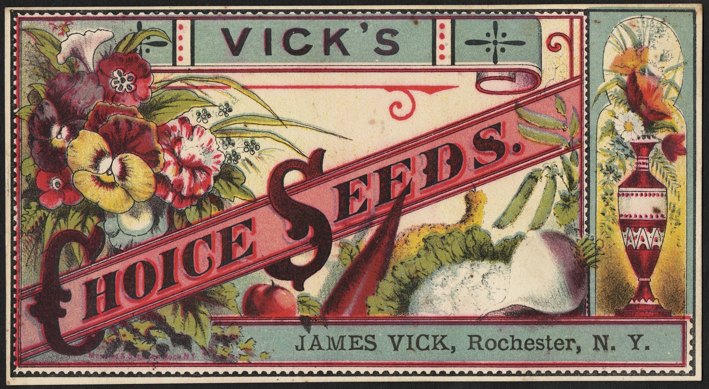 Vick's choice seeds.