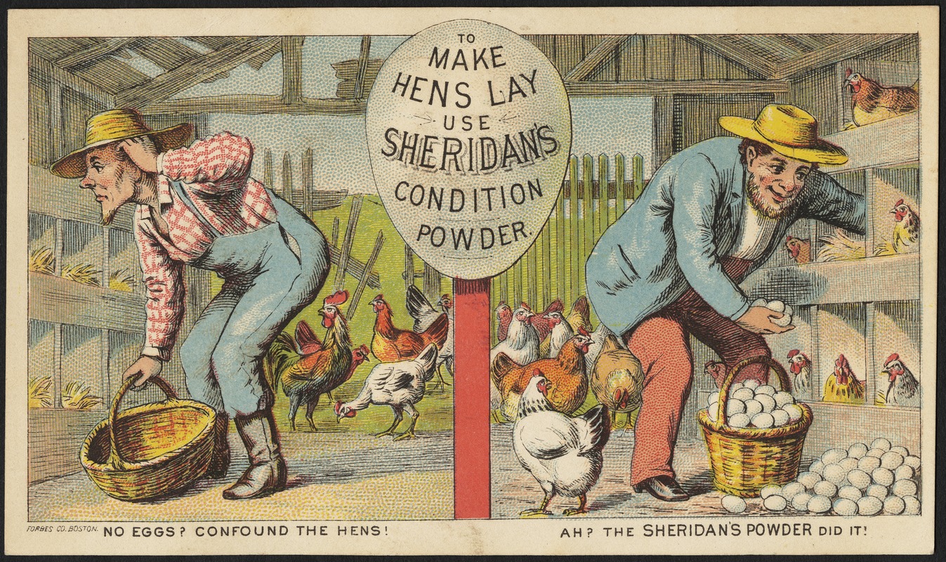To make hens lay use Sheridan's Condition Powder. No eggs? Confound the hens! Ah? The Sheridan's powder did it!