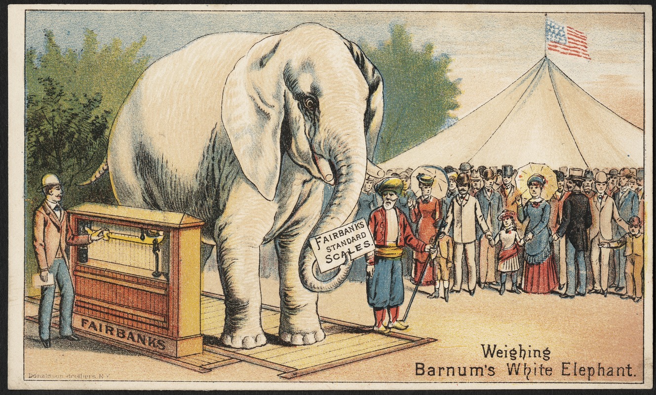 Weighing Barnum's white elephant - Fairbanks Standard Scales.