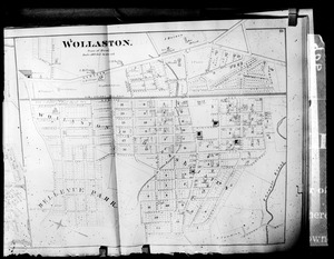 Bellevue Park and northerly part of Wollaston