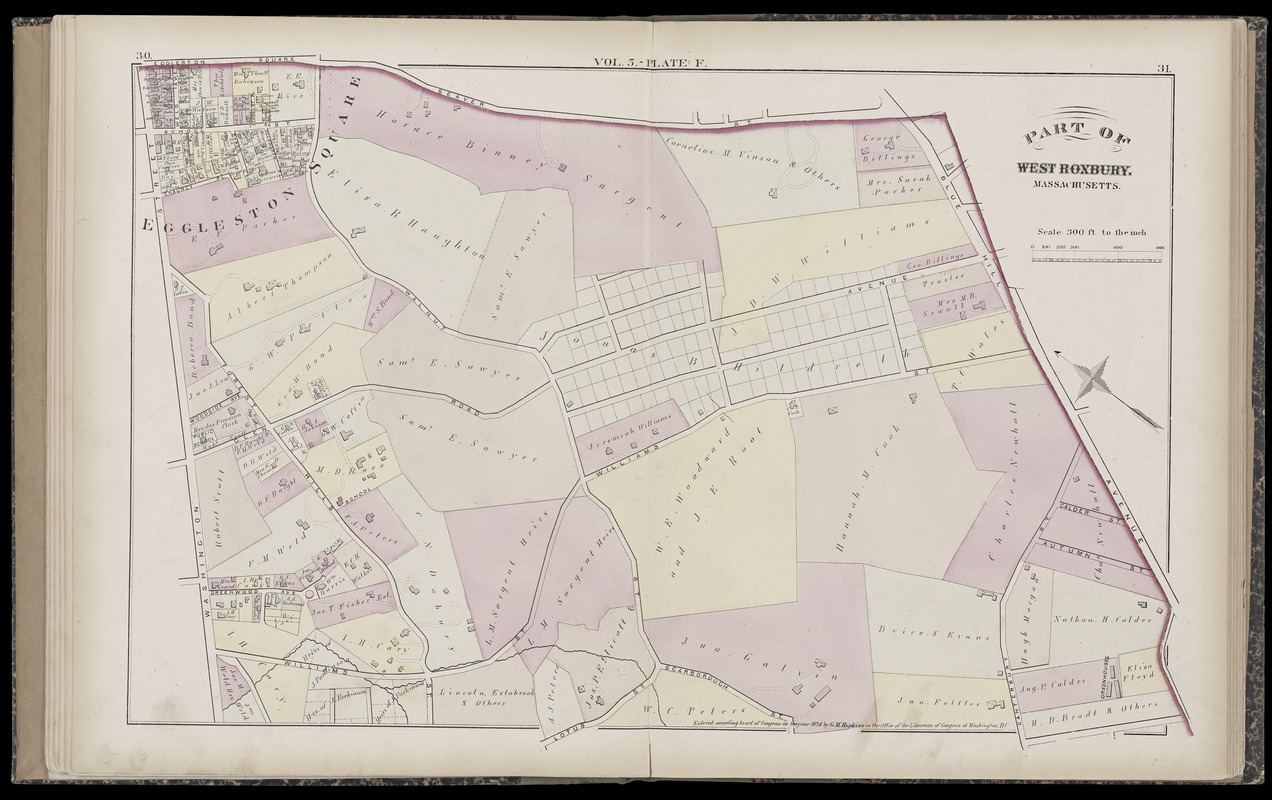 Atlas of the county of Suffolk, Massachusetts : vol. 5th, West Roxbury, now ward 17, Boston : from actual survey & official records