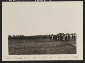 "Rookies," Framingham, June 1916