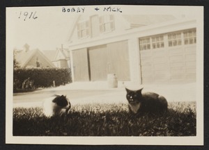 1916, Bobby and Nick
