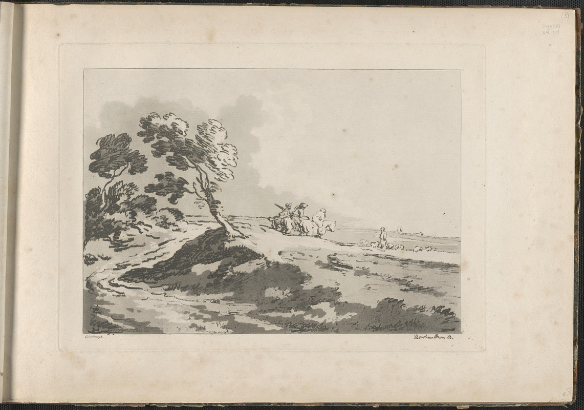 An open landscape