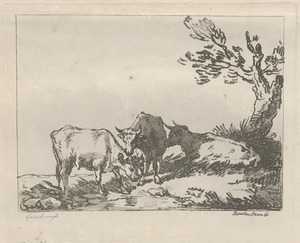 Three cows on a hillside