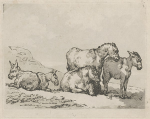 A group of five donkeys, three lying and two standing