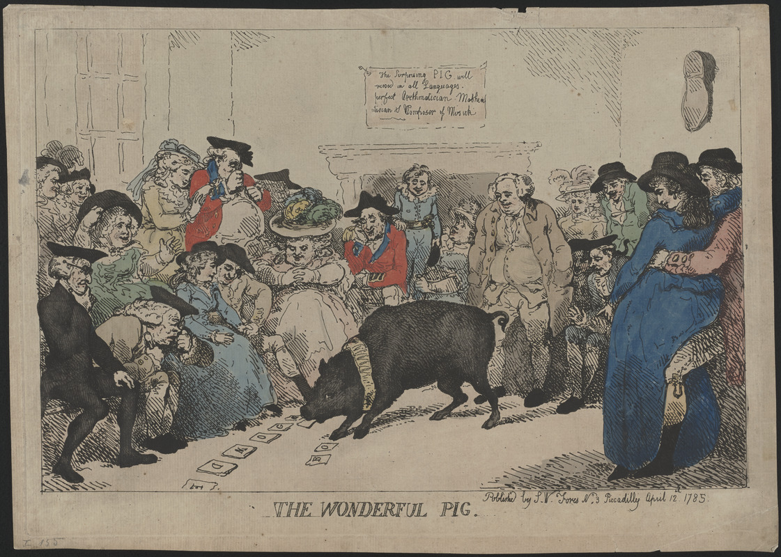 The wonderful pig