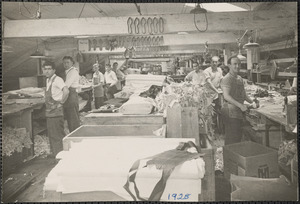 Cloth lining cutters, all shoe workers, Mayfair Shoe Corp., A.S. Beck Corp., 1928