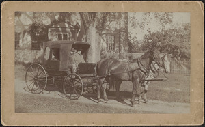 Two horse wagon