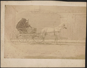 Man with horse carriage