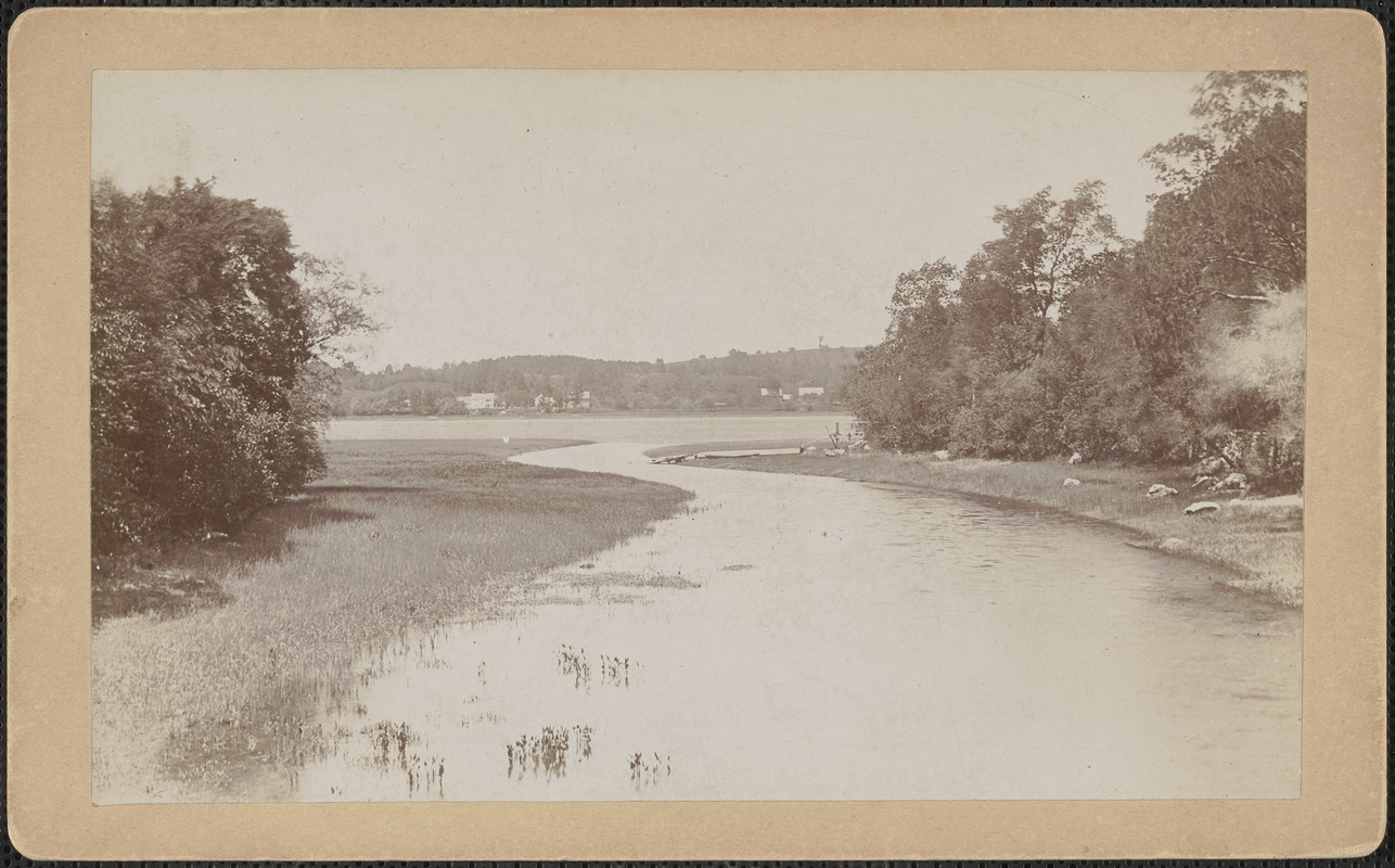 Mouth of Artichoke River at Curzon Mill