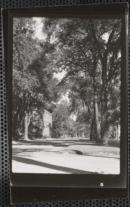 Looking west, Bartlet Mall, along High Street