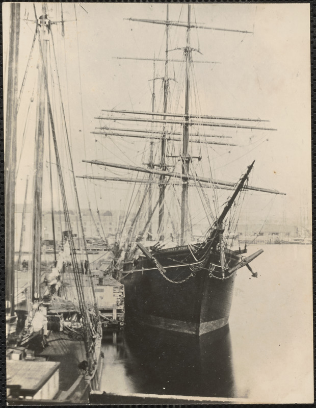 Bark Albert Russell, 8th ship to be built by Atkinson & Fillmore, built 1875, 762 tons