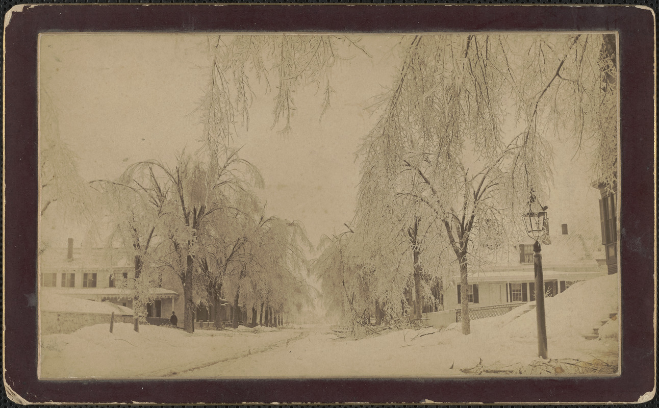 Ice Storm, State St. 1904