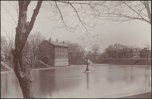 Moseley Fountain, Frog Pond, Summer