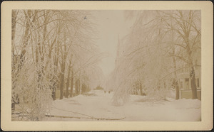 Ice storm, Green Street, looking south