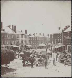 Historical Society of Old Newbury, Snow Historical Photograph Collection