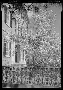 Pingree House, Salem, spring