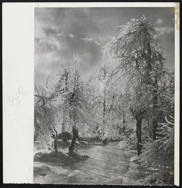 Winter Wonderland- Jack Frost works icy wonders each year as spray and mist from Niagara Falls freezes on nearby trees and shrubbery. This view of Luna Island was taken as ice covered the trees there for the first time this season.