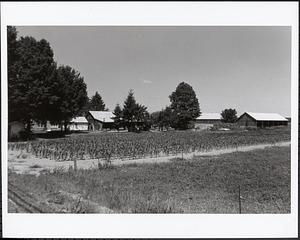 Klimoski Farm, Middle Street