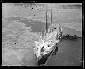 Fishing boat Vandal