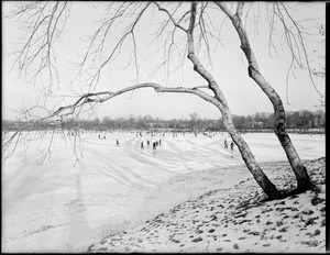 Skating on Jamaica Pond, taken from the cove