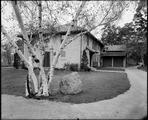 Larz Anderson Library, large birch tree in the middle