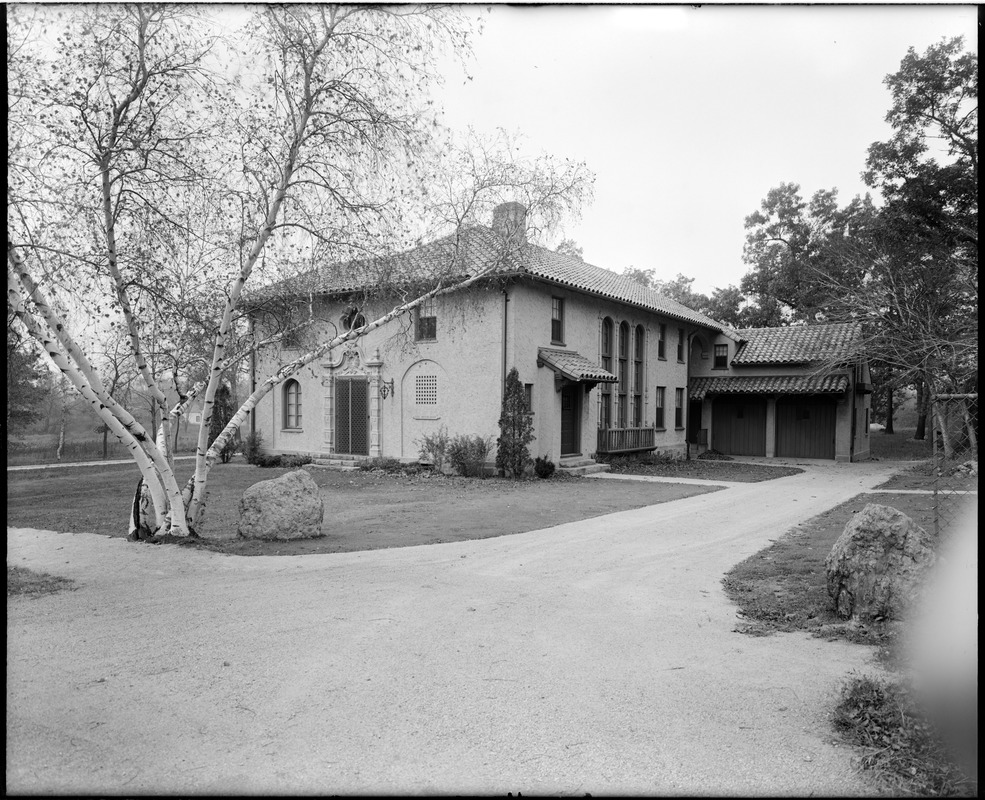 Larz Anderson Library, birch tree in the end