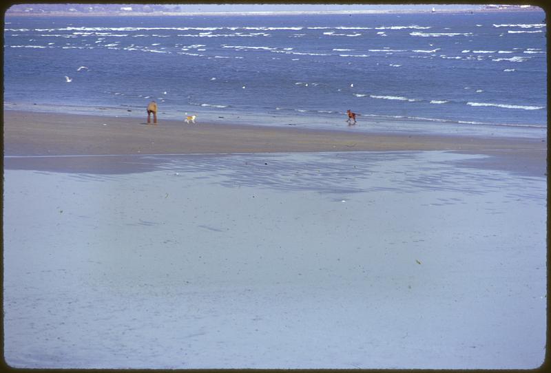 Revere Beach Oceanside Drive