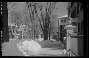 Chestnut Street, Salem, Mass.