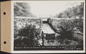 Beaver Brook at Pepper's mill pond dam, Ware, Mass., 8:30 AM, Jun. 2, 1936