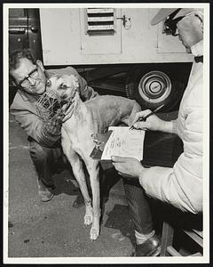 River checks bertillion on Buck Sport while paddock judge Colin Chisholm checks dog for Saturday night opening. At right, Arthur Alves of Fall