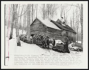 Modern technology has developed faster ways to gather spring maple sap. But, some Vermont farmers, like the one picture above, still reply on the tradition-bound horse drawn sap sledge to haul the sugary water to the sugar shed. Late spring snow and relatively mild temperatures during the day, knowledge and patience are all ingredients for the production of maple.