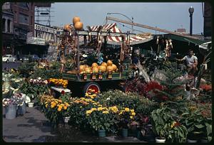 Flowers and pumpkins for sale outdoors on Dock Square