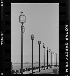 Boardwalk lamp posts and gulls