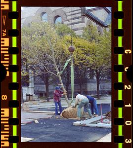 Copley Square tree planting