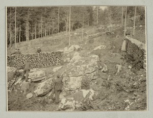 Exploring woodpiles, Imperial Royal Institute for the Education of the Blind, Vienna