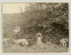 Durchwaten am Bach: Wading in the stream