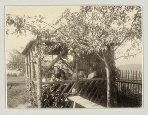 Resting in the shade, Imperial Royal Institute for the Education of the Blind, Vienna