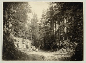 Nature Study, Imperial Royal Institute for the Education of the Blind, Vienna