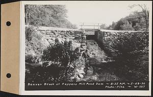 Beaver Brook at Pepper's mill pond dam, Ware, Mass., 8:35 AM, May 29, 1936