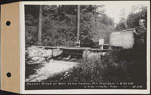 Beaver Brook at weir below Pepper's mill pond dam, Ware, Mass., 8:20 AM, Jun. 4, 1936