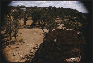 Stone structure in front of rows of trees, Grand Canyon