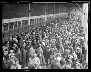 A crowd of people at the betting windows at a racetrack