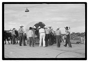 Boston Park Department circus event