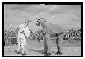 Boston Park Department circus event