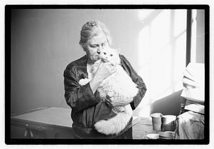 Cat show