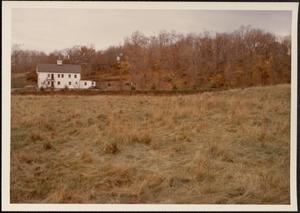 Meadow, Boston
