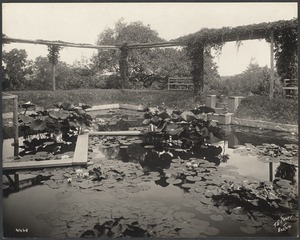 John L. Gardner estate, "Japanese garden"